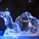 Camel - Seated Vodka Luge from Passion for Ice