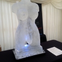 Hermaphrodite Vodka Luge from Passion for Ice