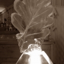 Oak Leaf Vodka Luge from Passion for Ice
