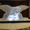 RAF Swooping Eagle Vodka Luge from Passion for Ice