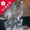 Chicken Vodka Luge from Passion for Ice