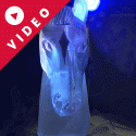 Bespoke Horse Head Vodka Luge from Pasison form Ice