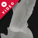 Shark Vodka Luge from Passion for Ice