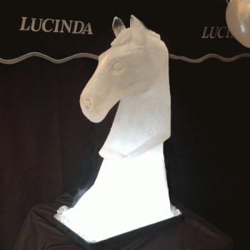 Horse Head Vodka Luge from Pasison form Ice
