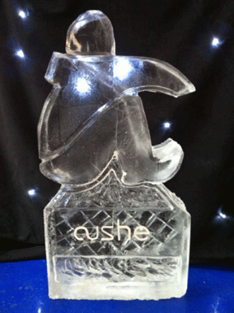 Hush Puppy Vodka Luge from Passion for Ice